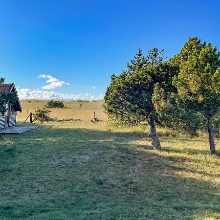 Amazing In With Wifi *